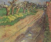 Pollard Willows (nn04), Vincent Van Gogh